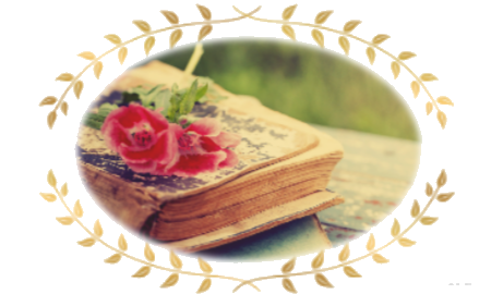 Boek homepage Boek homepage